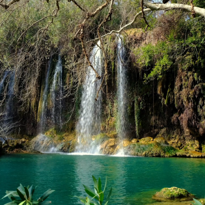 Tropical Rainforest Waterfall