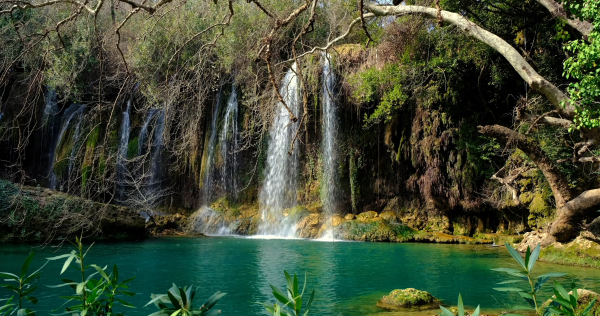 Tropical Rainforest Waterfall