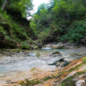 River Flowing Through a Valley