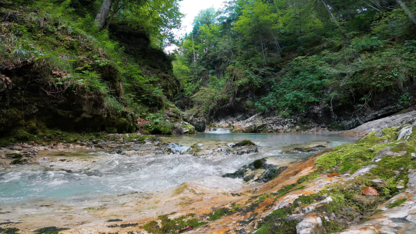 River Flowing Through a Valley
